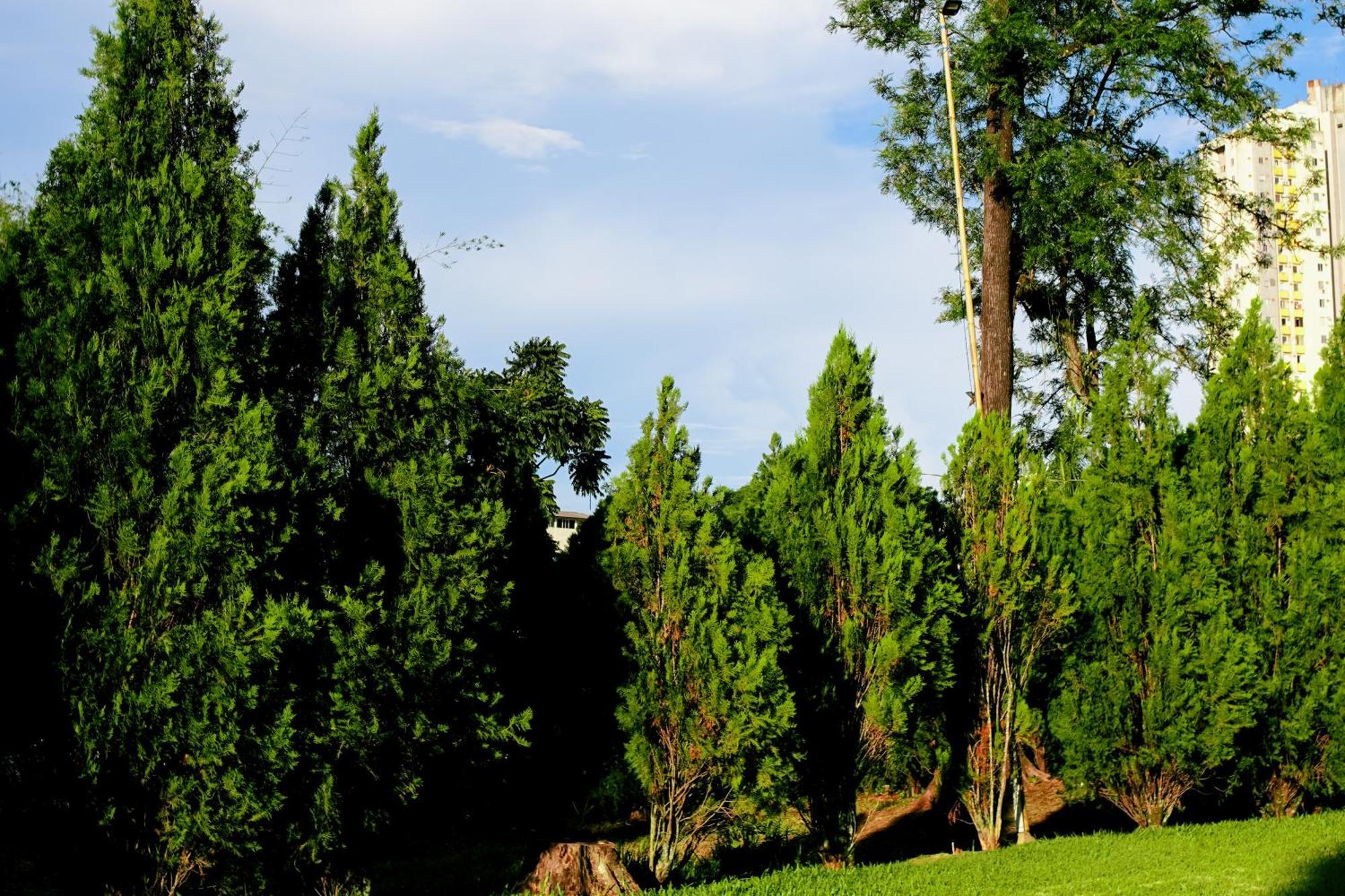 Velinn Hotel Natureza Foz Foz do Iguacu Exterior photo